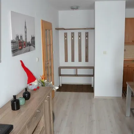 Safran - Dorothy 44, * 多纳瓦利