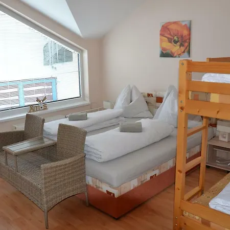 šafrán - Dorothy 44,