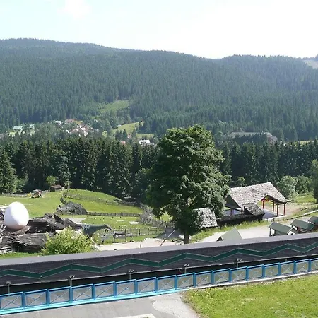 šafrán - Dorothy 44, Donovaly