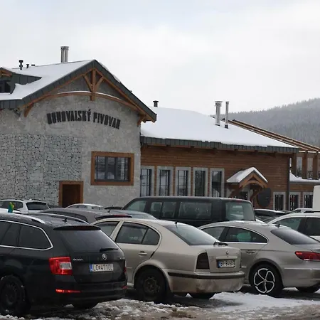 Safran - Dorothy 44, *