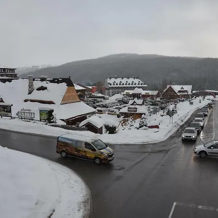 Safran - Dorothy 44, * 多纳瓦利