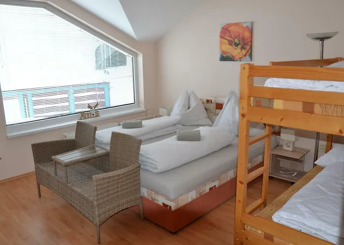 Safran - Dorothy 44,