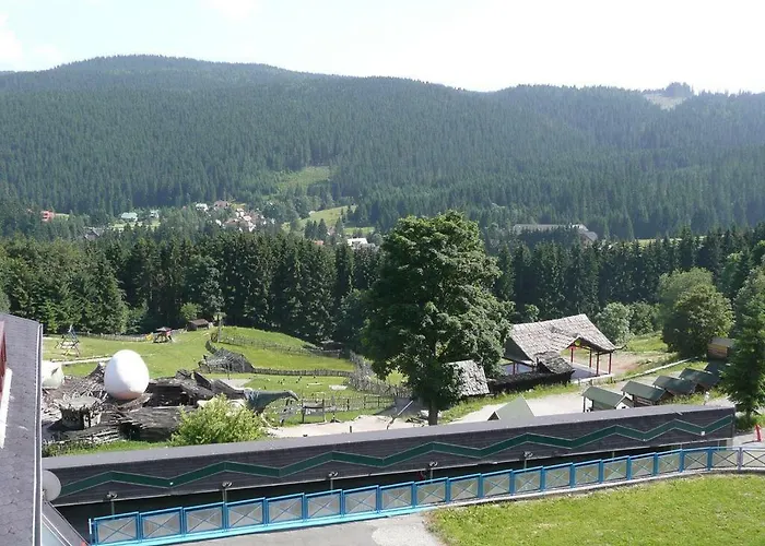 Safran - Dorothy 44, Donovaly