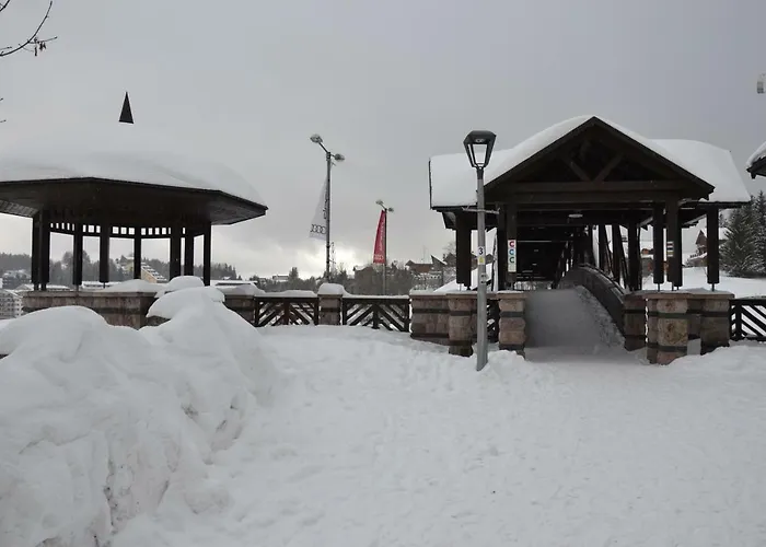 Safran - Dorothy 44, Apartman