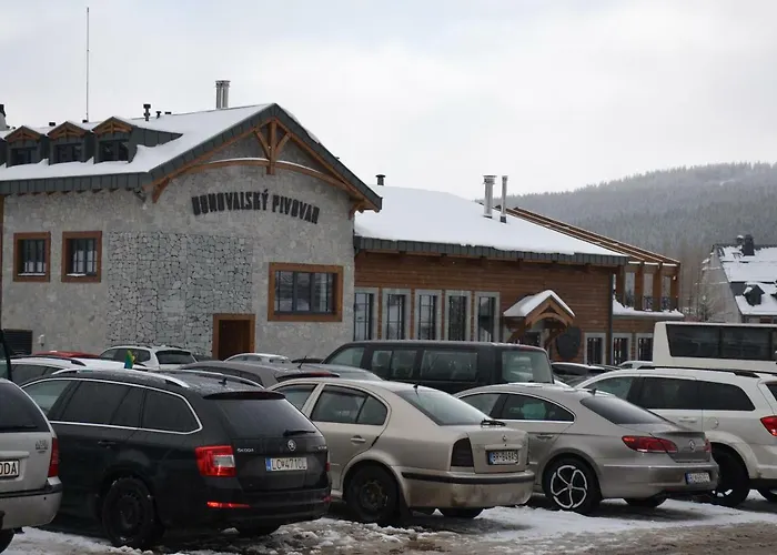 Safran - Dorothy 44, *