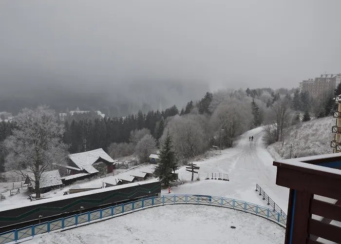 Safran - Dorothy 44,